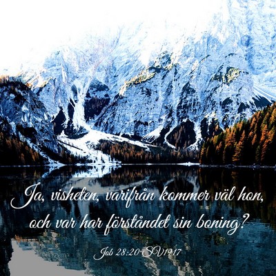 Picture 03 - Job 28:20 SV1917 - Ja, visheten, varifrån kommer väl hon, och var - Bible Verse Picture