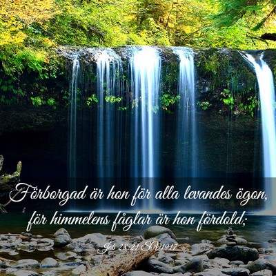 Picture 03 - Job 28:21 SV1917 - Förborgad är hon för alla levandes ögon, för - Bible Verse Picture