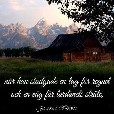 Picture 03 - Job 28:26 SV1917 - när han stadgade en lag för regnet och en väg - Bible Verse Picture