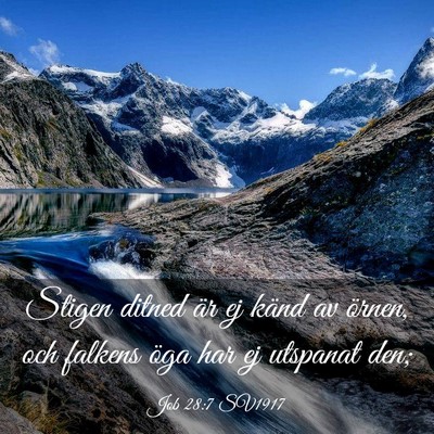 Picture 03 - Job 28:7 SV1917 - Stigen ditned är ej känd av örnen, och falkens - Bible Verse Picture