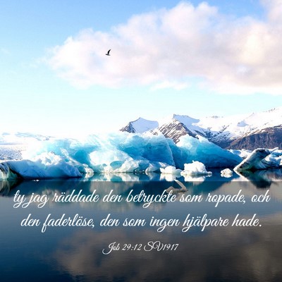 Picture 03 - Job 29:12 SV1917 - ty jag räddade den betryckte som ropade, och den - Bible Verse Picture