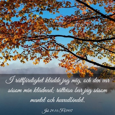 Picture 03 - Job 29:14 SV1917 - I rättfärdighet klädde jag mig, och den var - Bible Verse Picture