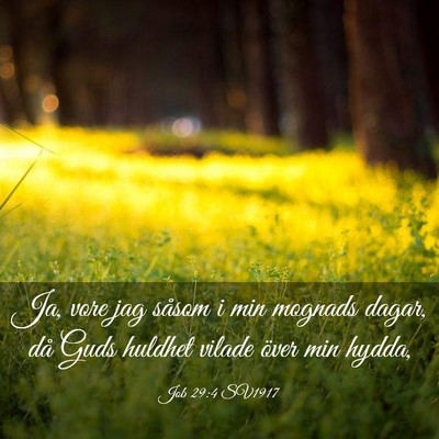 Picture 03 - Job 29:4 SV1917 - Ja, vore jag såsom i min mognads dagar, då Guds - Bible Verse Picture