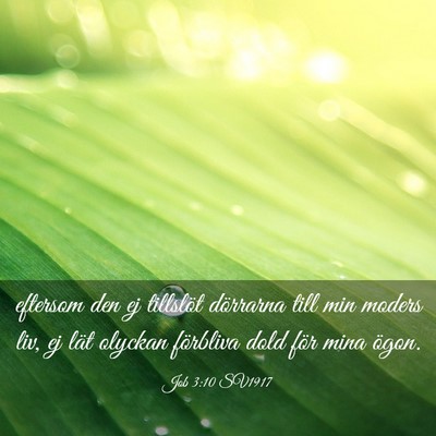 Picture 03 - Job 3:10 SV1917 - eftersom den ej tillslöt dörrarna till min - Bible Verse Picture