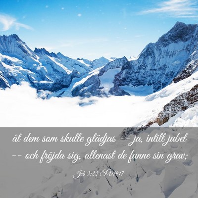 Picture 03 - Job 3:22 SV1917 - åt dem som skulle glädjas -- ja, intill jubel - Bible Verse Picture