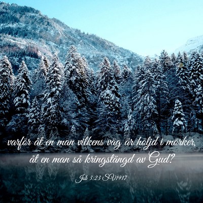 Picture 03 - Job 3:23 SV1917 - varför åt en man vilkens väg är höljd i - Bible Verse Picture