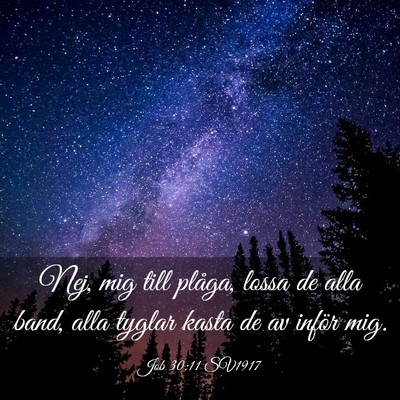 Picture 03 - Job 30:11 SV1917 - Nej, mig till plåga, lossa de alla band, alla - Bible Verse Picture