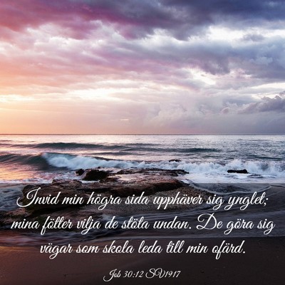 Picture 03 - Job 30:12 SV1917 - Invid min högra sida upphäver sig ynglet; mina - Bible Verse Picture