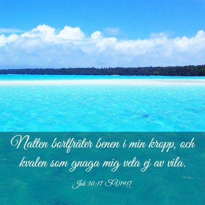 Picture 03 - Job 30:17 SV1917 - Natten bortfräter benen i min kropp, och kvalen - Bible Verse Picture