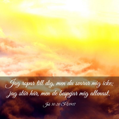 Picture 03 - Job 30:20 SV1917 - Jag ropar till dig, men du svarar mig icke; jag - Bible Verse Picture