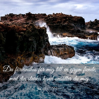 Picture 03 - Job 30:21 SV1917 - Du förvandlas för mig till en grym fiende, med - Bible Verse Picture