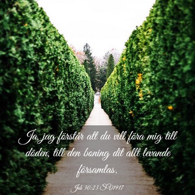 Picture 03 - Job 30:23 SV1917 - Ja, jag förstår att du vill föra mig till - Bible Verse Picture