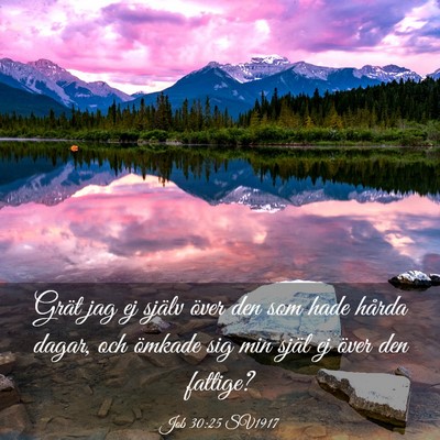 Picture 03 - Job 30:25 SV1917 - Grät jag ej själv över den som hade hårda - Bible Verse Picture