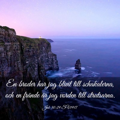 Picture 03 - Job 30:29 SV1917 - En broder har jag blivit till schakalerna, och en - Bible Verse Picture