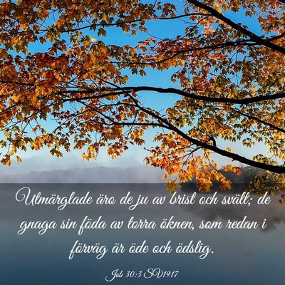 Picture 03 - Job 30:3 SV1917 - Utmärglade äro de ju av brist och svält; de - Bible Verse Picture