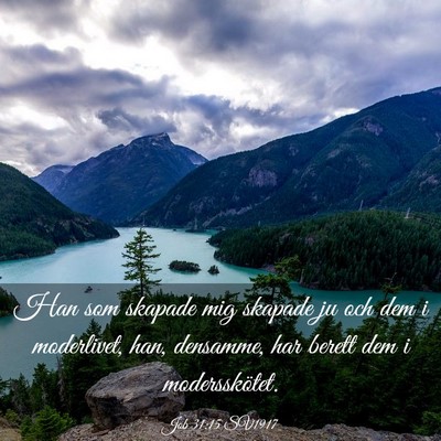Picture 03 - Job 31:15 SV1917 - Han som skapade mig skapade ju och dem i - Bible Verse Picture