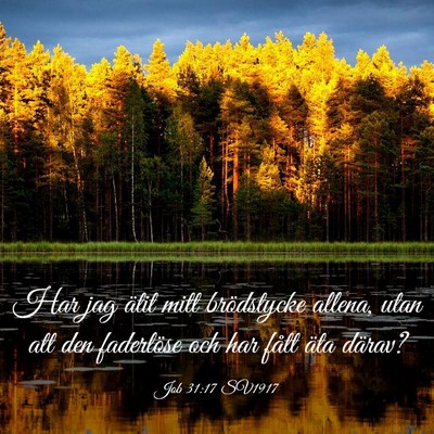 Picture 03 - Job 31:17 SV1917 - Har jag ätit mitt brödstycke allena, utan att - Bible Verse Picture