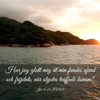 Picture 03 - Job 31:29 SV1917 - Har jag glatt mig åt min fiendes ofärd och - Bible Verse Picture