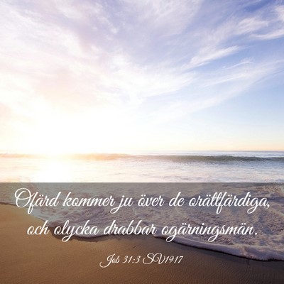 Picture 03 - Job 31:3 SV1917 - Ofärd kommer ju över de orättfärdiga, och - Bible Verse Picture