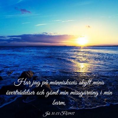 Picture 03 - Job 31:33 SV1917 - Har jag på människovis skylt mina - Bible Verse Picture