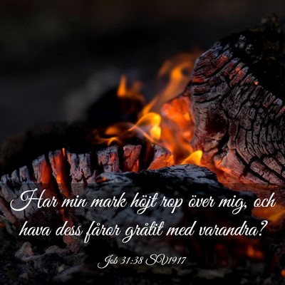 Picture 03 - Job 31:38 SV1917 - Har min mark höjt rop över mig, och hava dess - Bible Verse Picture