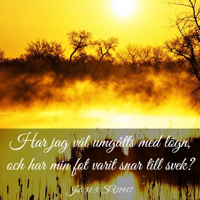 Picture 03 - Job 31:5 SV1917 - Har jag väl umgåtts med lögn, och har min fot - Bible Verse Picture