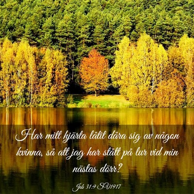Picture 03 - Job 31:9 SV1917 - Har mitt hjärta låtit dåra sig av någon - Bible Verse Picture