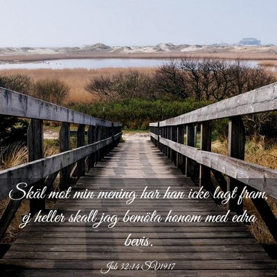 Picture 03 - Job 32:14 SV1917 - Skäl mot min mening har han icke lagt fram, ej - Bible Verse Picture