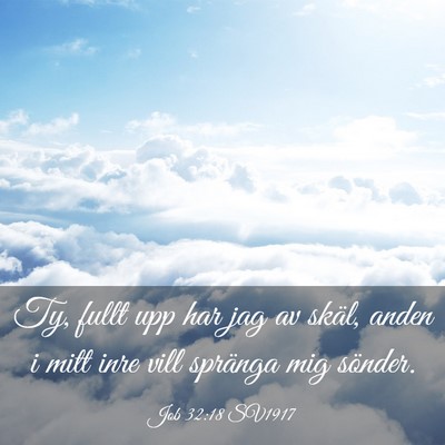 Picture 03 - Job 32:18 SV1917 - Ty, fullt upp har jag av skäl, anden i mitt inre - Bible Verse Picture