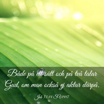 Picture 03 - Job 33:14 SV1917 - Både på ett sätt och på två talar Gud, om - Bible Verse Picture