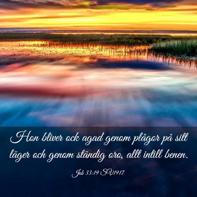 Picture 03 - Job 33:19 SV1917 - Hon bliver ock agad genom plågor på sitt läger - Bible Verse Picture