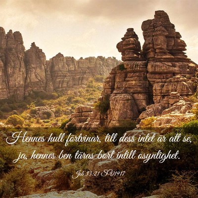 Picture 03 - Job 33:21 SV1917 - Hennes hull förtvinar, till dess intet är att - Bible Verse Picture