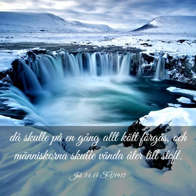 Picture 03 - Job 34:15 SV1917 - då skulle på en gång allt kött förgås, och - Bible Verse Picture