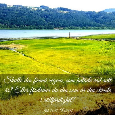 Picture 03 - Job 34:17 SV1917 - Skulle den förmå regera, som hatade vad rätt - Bible Verse Picture
