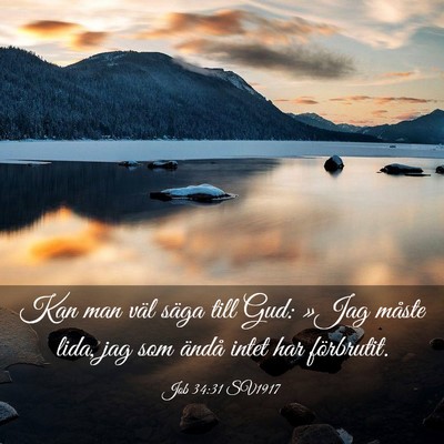 Picture 03 - Job 34:31 SV1917 - Kan man väl säga till Gud: »Jag måste lida, - Bible Verse Picture