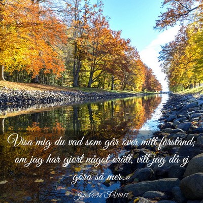 Picture 03 - Job 34:32 SV1917 - Visa mig du vad som går över mitt förstånd; - Bible Verse Picture