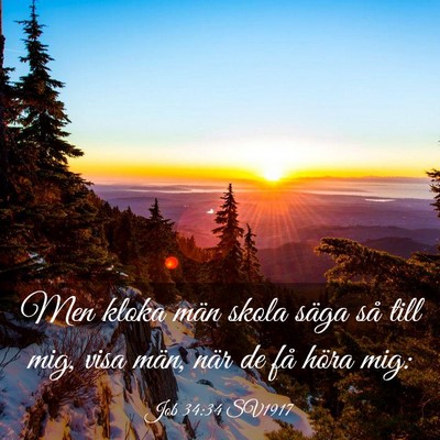 Picture 03 - Job 34:34 SV1917 - Men kloka män skola säga så till mig, visa - Bible Verse Picture