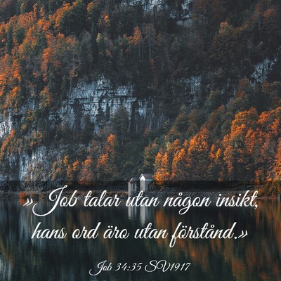 Picture 03 - Job 34:35 SV1917 - »Job talar utan någon insikt, hans ord äro - Bible Verse Picture