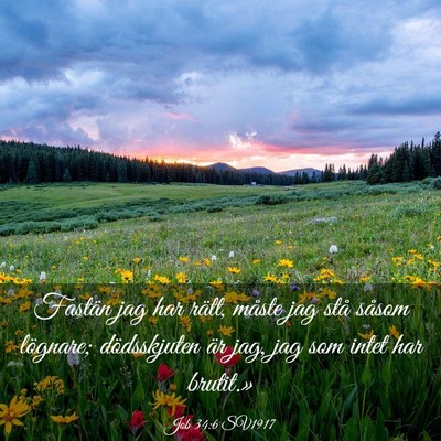 Picture 03 - Job 34:6 SV1917 - Fastän jag har rätt, måste jag stå såsom - Bible Verse Picture