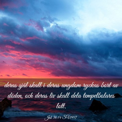 Picture 03 - Job 36:14 SV1917 - deras själ skall i deras ungdom ryckas bort av - Bible Verse Picture