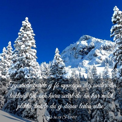 Picture 03 - Job 36:18 SV1917 - Ty vrede borde ej få uppegga dig under din - Bible Verse Picture