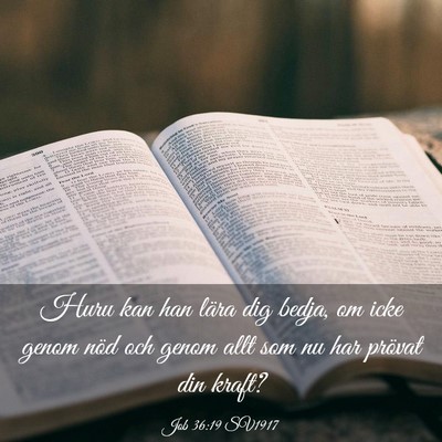 Picture 03 - Job 36:19 SV1917 - Huru kan han lära dig bedja, om icke genom nöd - Bible Verse Picture