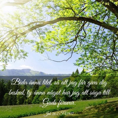Picture 03 - Job 36:2 SV1917 - Bida ännu litet, så att jag får giva dig - Bible Verse Picture