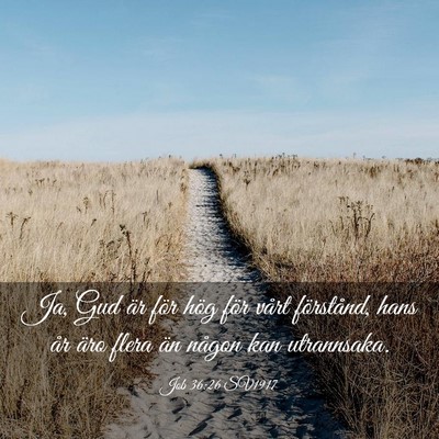 Picture 03 - Job 36:26 SV1917 - Ja, Gud är för hög för vårt förstånd, hans - Bible Verse Picture