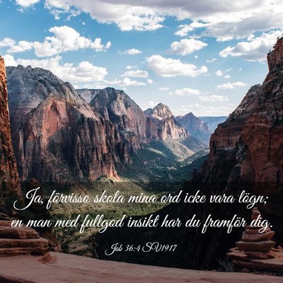 Picture 03 - Job 36:4 SV1917 - Ja, förvisso skola mina ord icke vara lögn; en - Bible Verse Picture