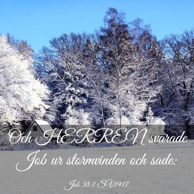 Picture 03 - Job 38:1 SV1917 - Och HERREN svarade Job ur stormvinden och - Bible Verse Picture