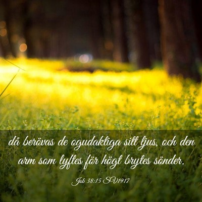 Picture 03 - Job 38:15 SV1917 - då berövas de ogudaktiga sitt ljus, och den arm - Bible Verse Picture