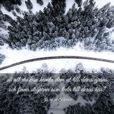 Picture 03 - Job 38:20 SV1917 - så att du kan hämta dem ut till deras gräns - Bible Verse Picture