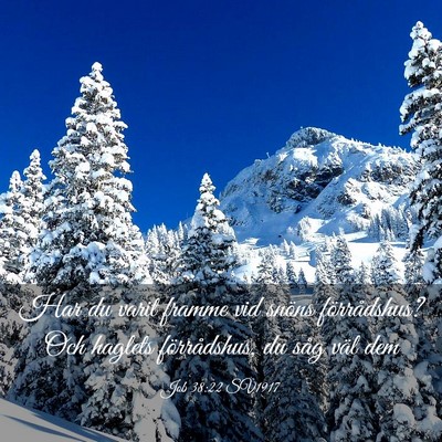 Picture 03 - Job 38:22 SV1917 - Har du varit framme vid snöns förrådshus? Och - Bible Verse Picture