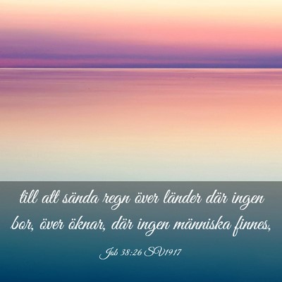 Picture 03 - Job 38:26 SV1917 - till att sända regn över länder där ingen - Bible Verse Picture